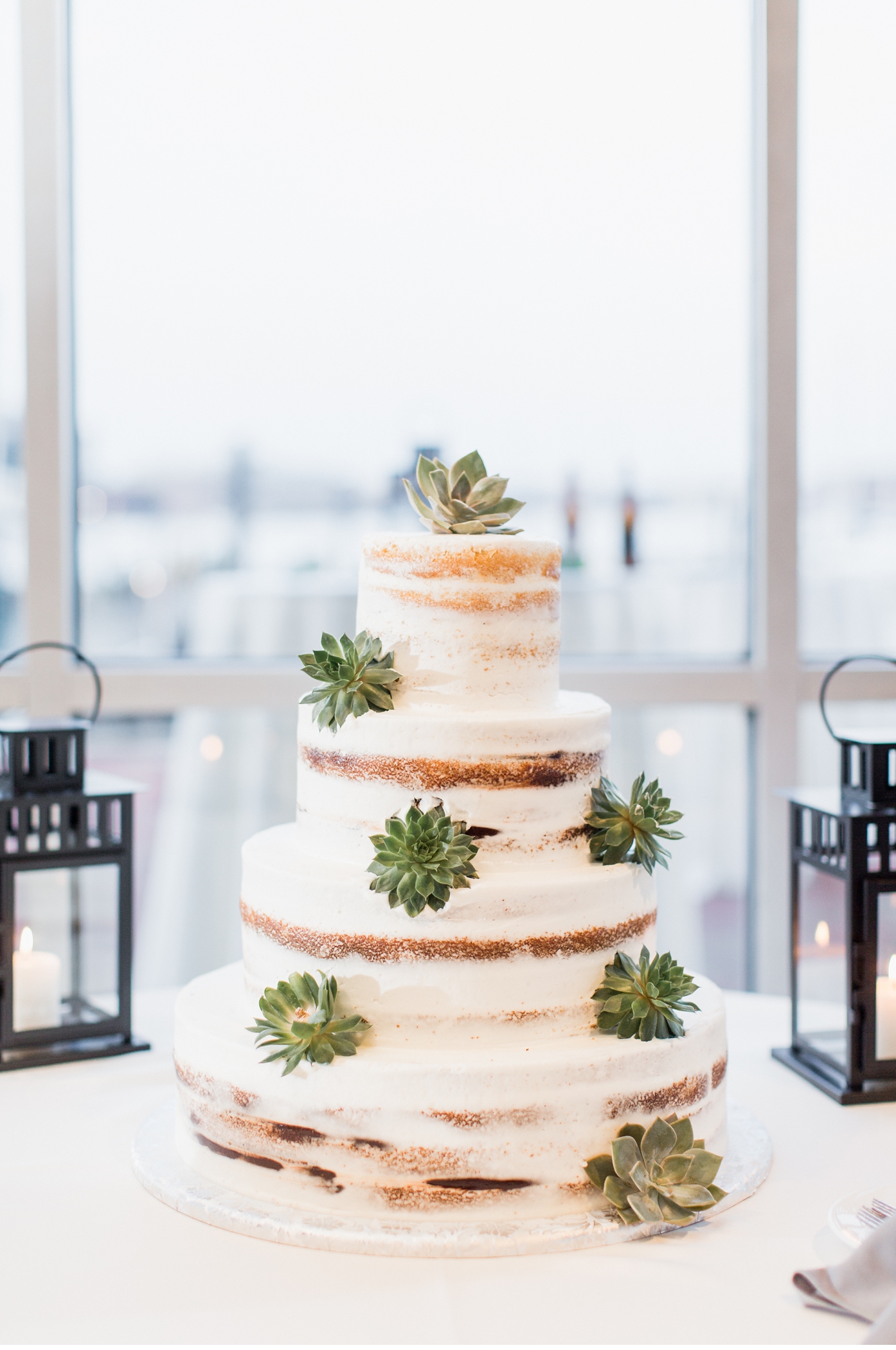 Naked Cake with Succulents