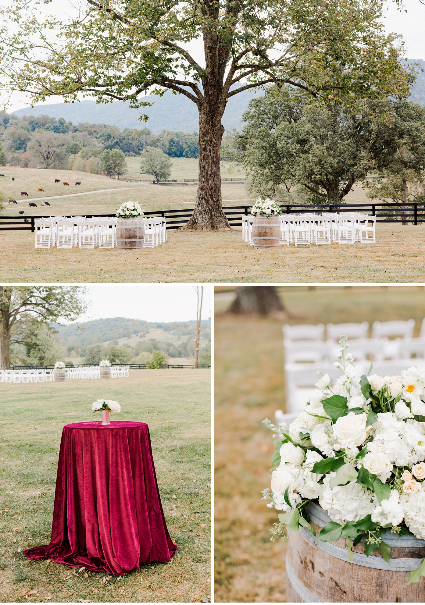 20's Vintage Inspired Wedding at Marriott Ranch in Hume Virginia by Alisandra Photography