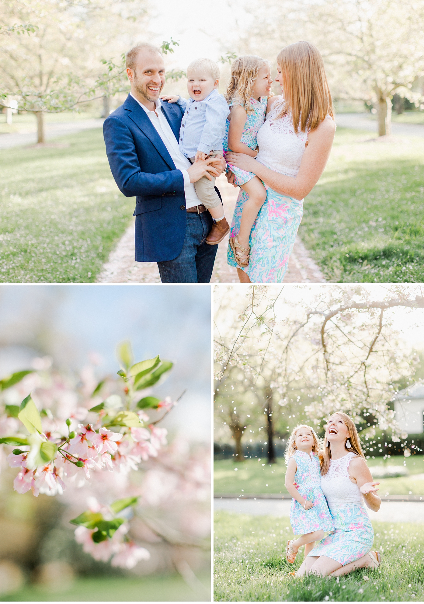 Richmond Virginia Cherry Blossoms Family Portrait Session 