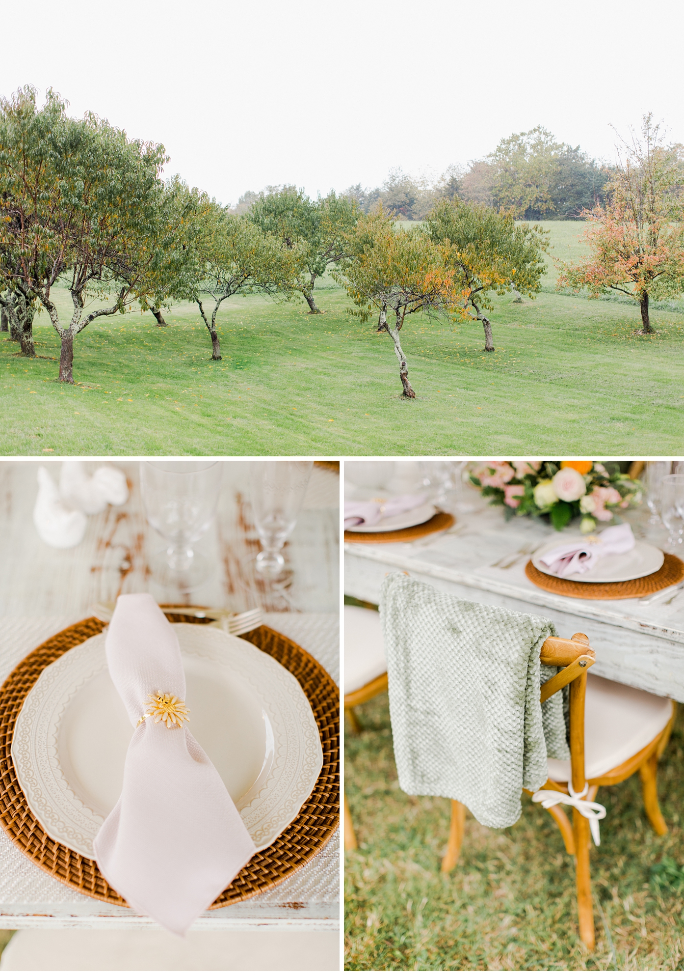 Intimate Orchard Wedding in Lexington Virginia