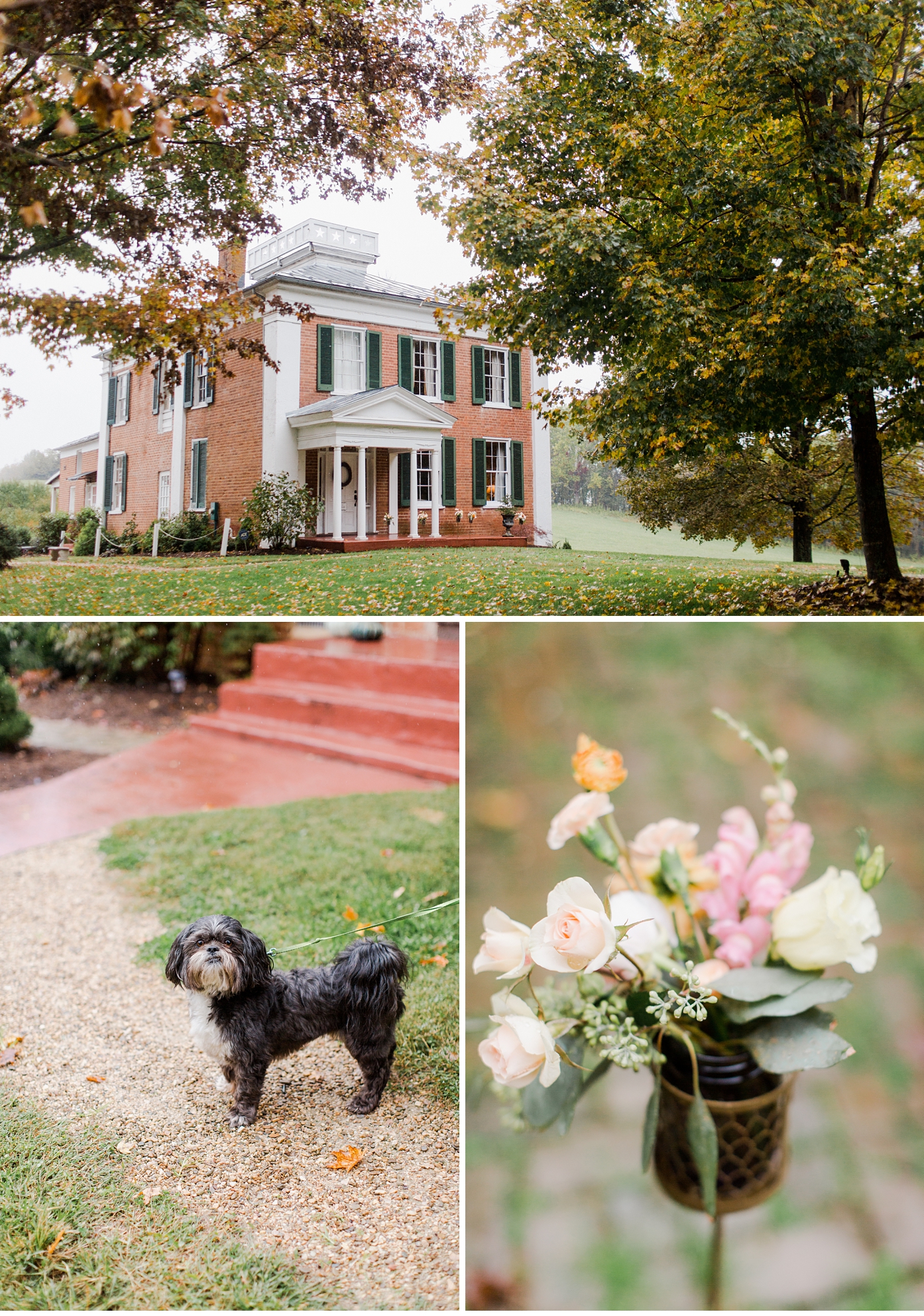 Fall Wedding at Historic Airbnb in Lexington VA